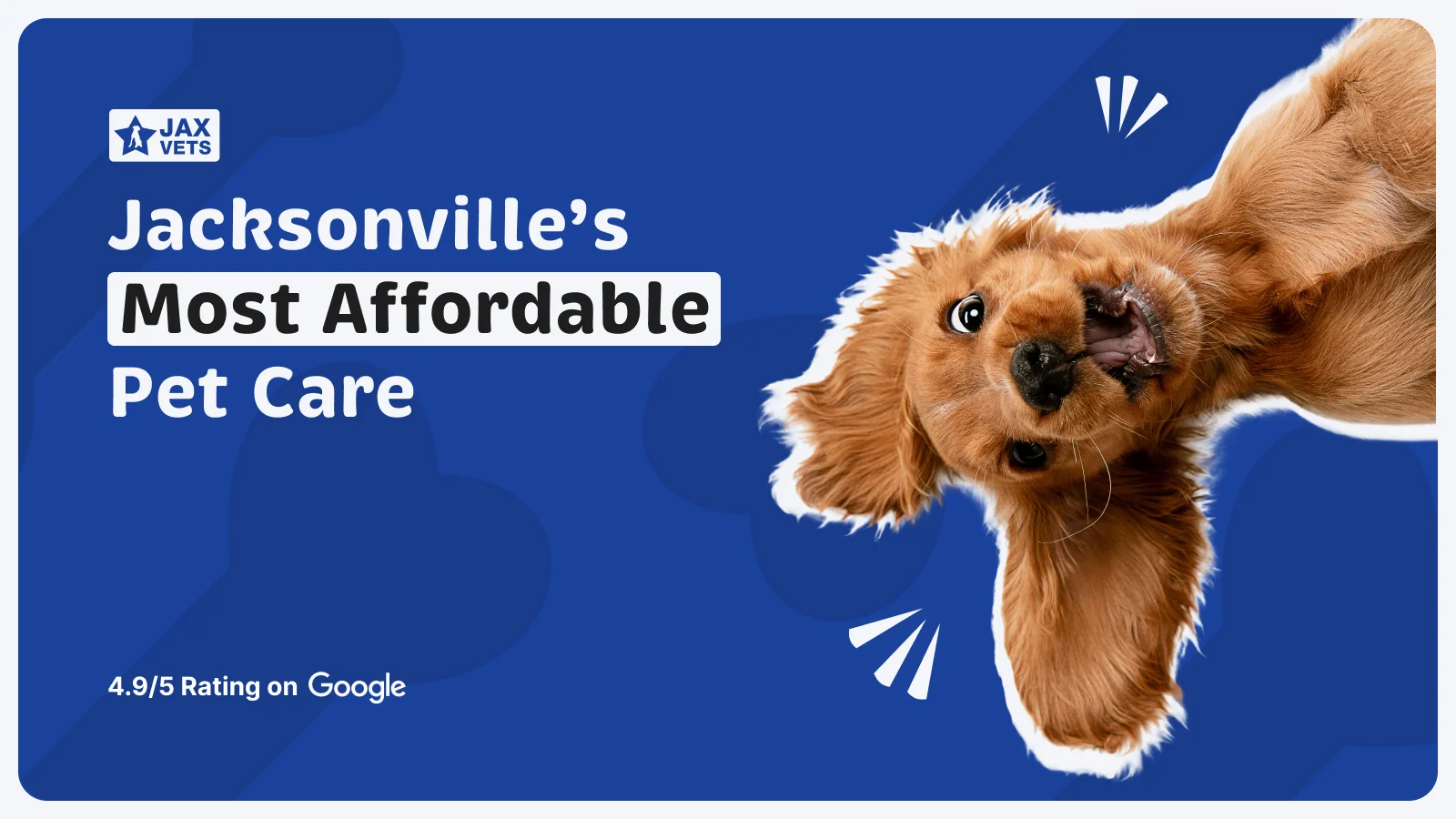 Ark Animal Hospital